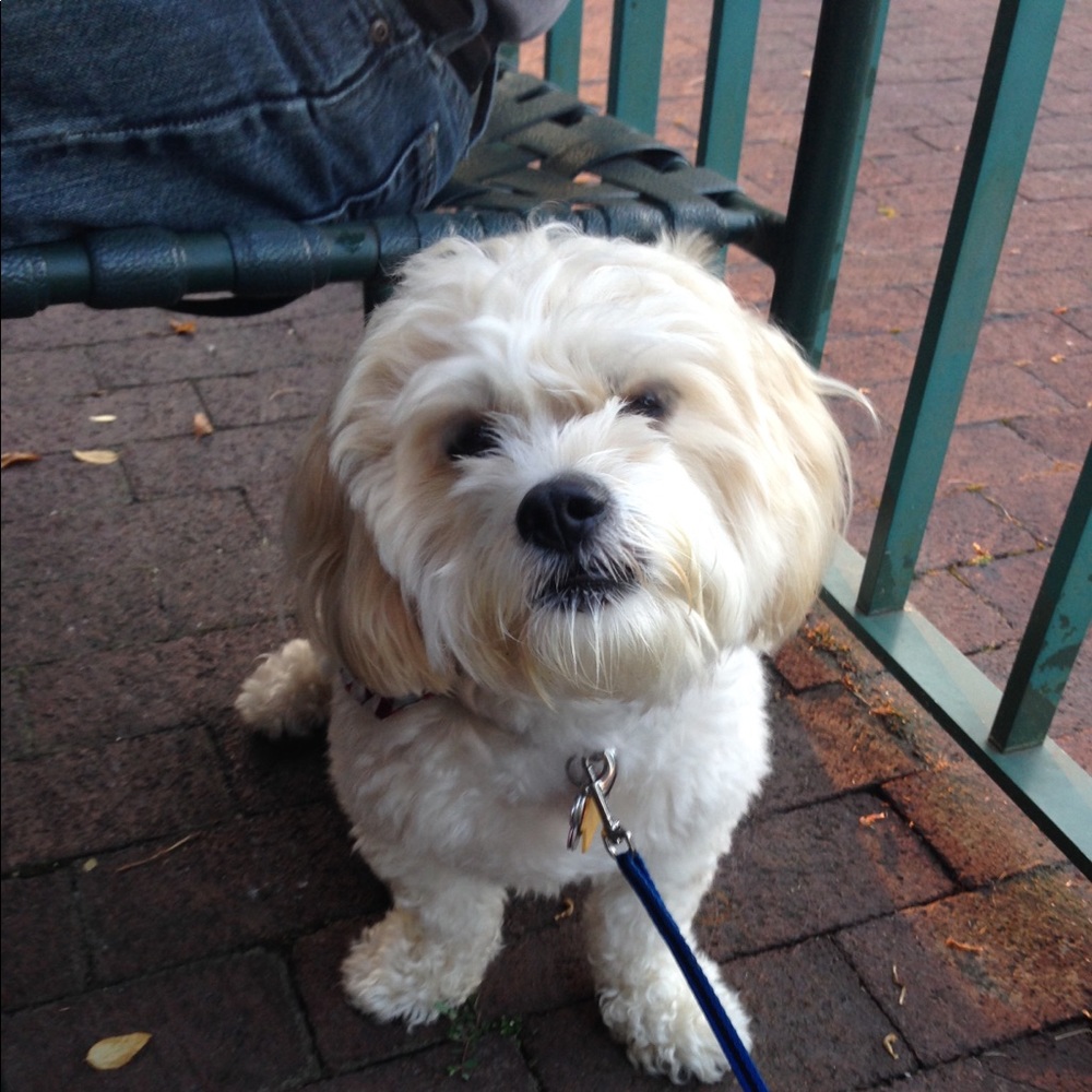 Meet your Posher, Susan